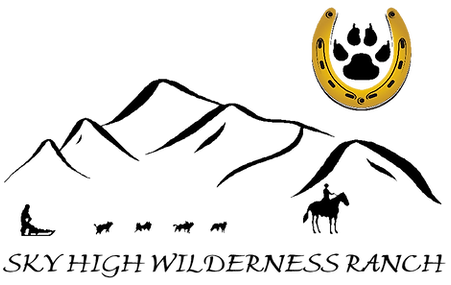 Sky High Wilderness Logo
