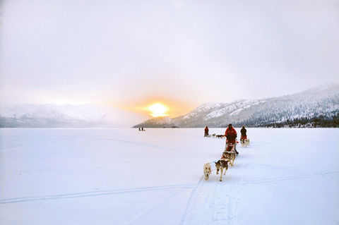 5sleds on the lake-min.jpg