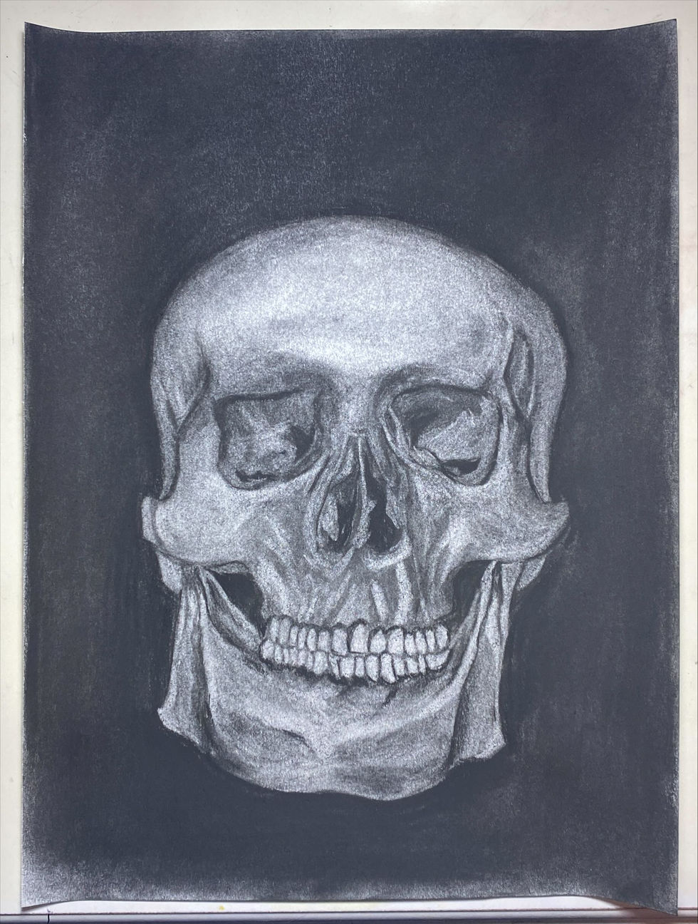 Skull