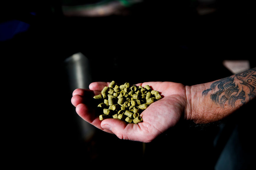 INK FACTORY BREWING HOPS