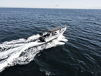 sayulita whale watching
