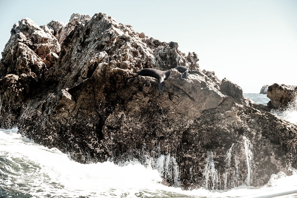 _DSF1790-2.jpg