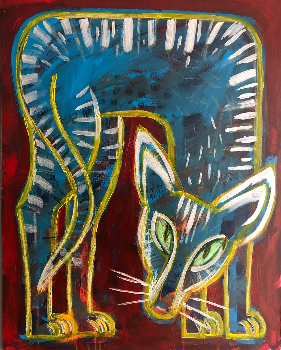 Orientaler Cat