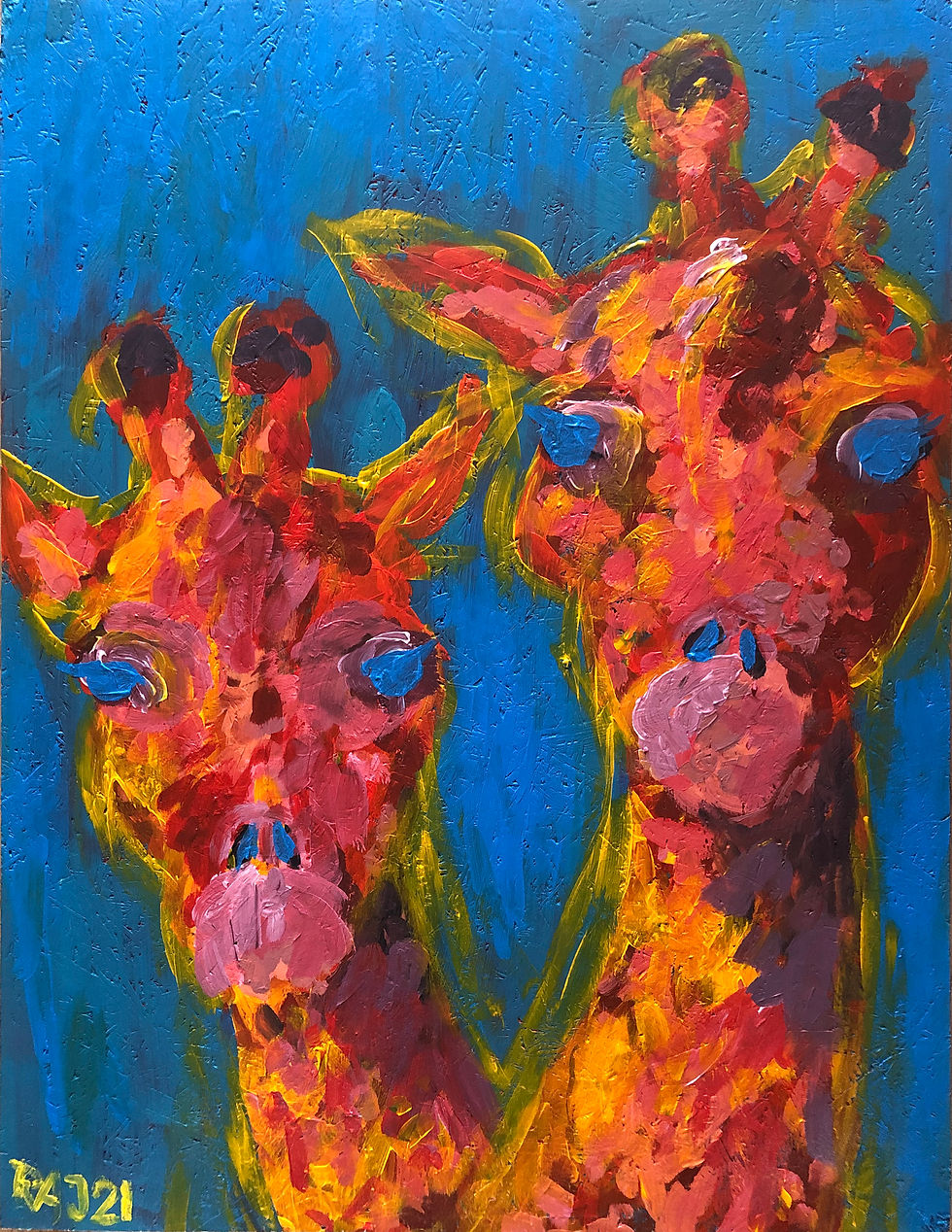 Giraffer