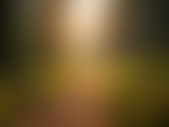 Choosing Love Over Fear: Living in the Language of Heaven