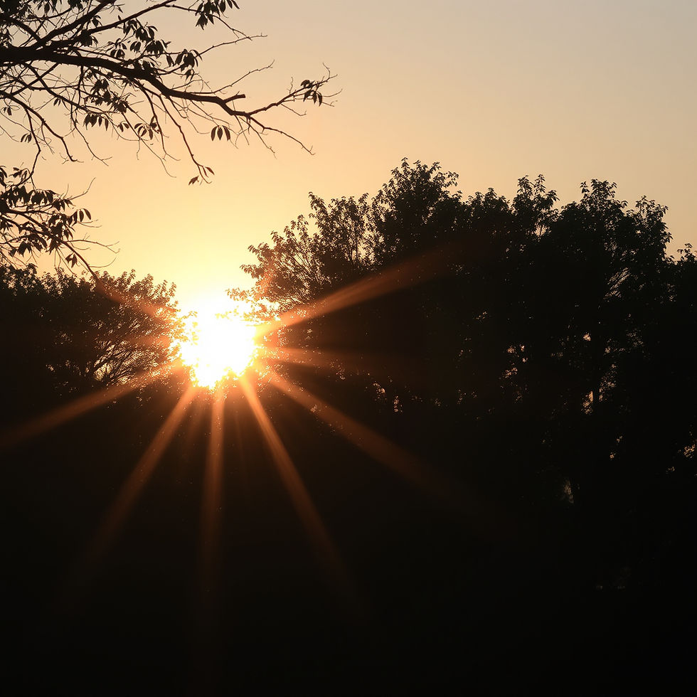 Brokenness to Belovedness — Part 4: Returning Home to Yourself