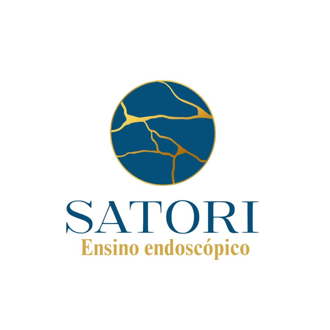 logo_satori_2.png