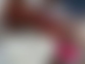 Começamos a montagem do projeto!