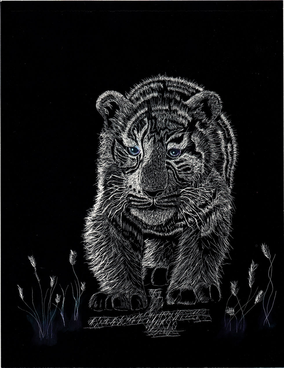 Tiger (scratch art)