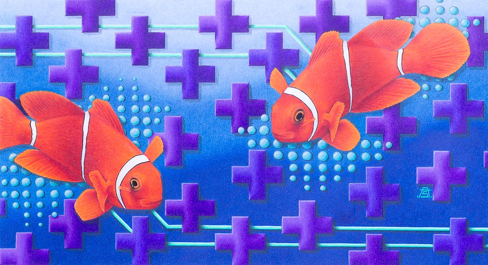 Clown Fish Art (colored pencil)