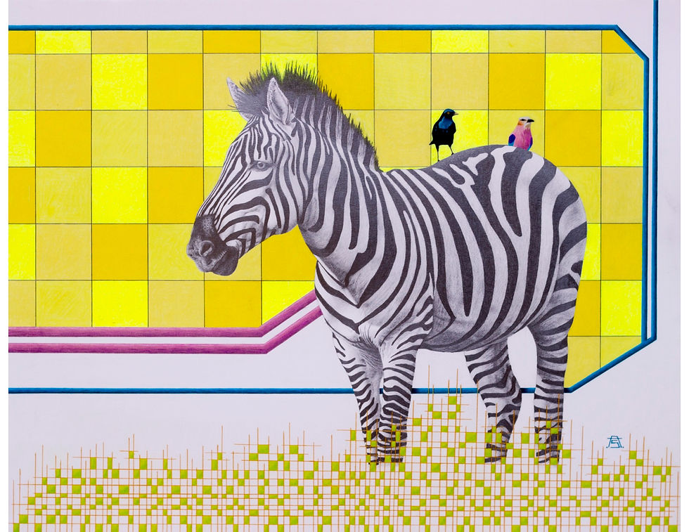 Zebra (colored pencil)