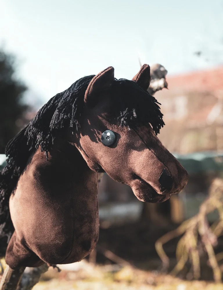 Vanliga Fragor Stall Smultronbacken