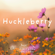 Huckleberry (cover)