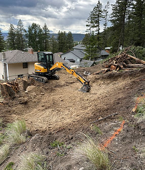 Site clearing and grading services for new construction and landscaping preparation