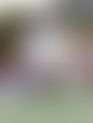 #Q2 Planning bei eco:fibr 🚀