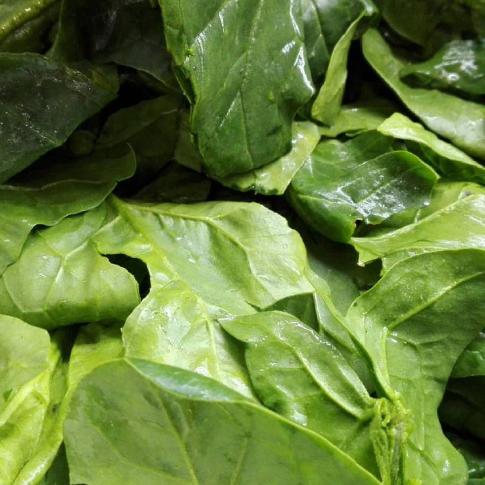 Espinaca