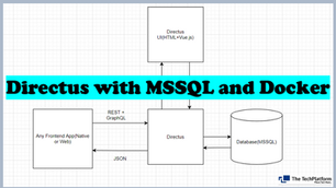 Directus with MSSQL and Docker