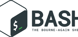 Bash Scripting | How to create and run Bash Script?