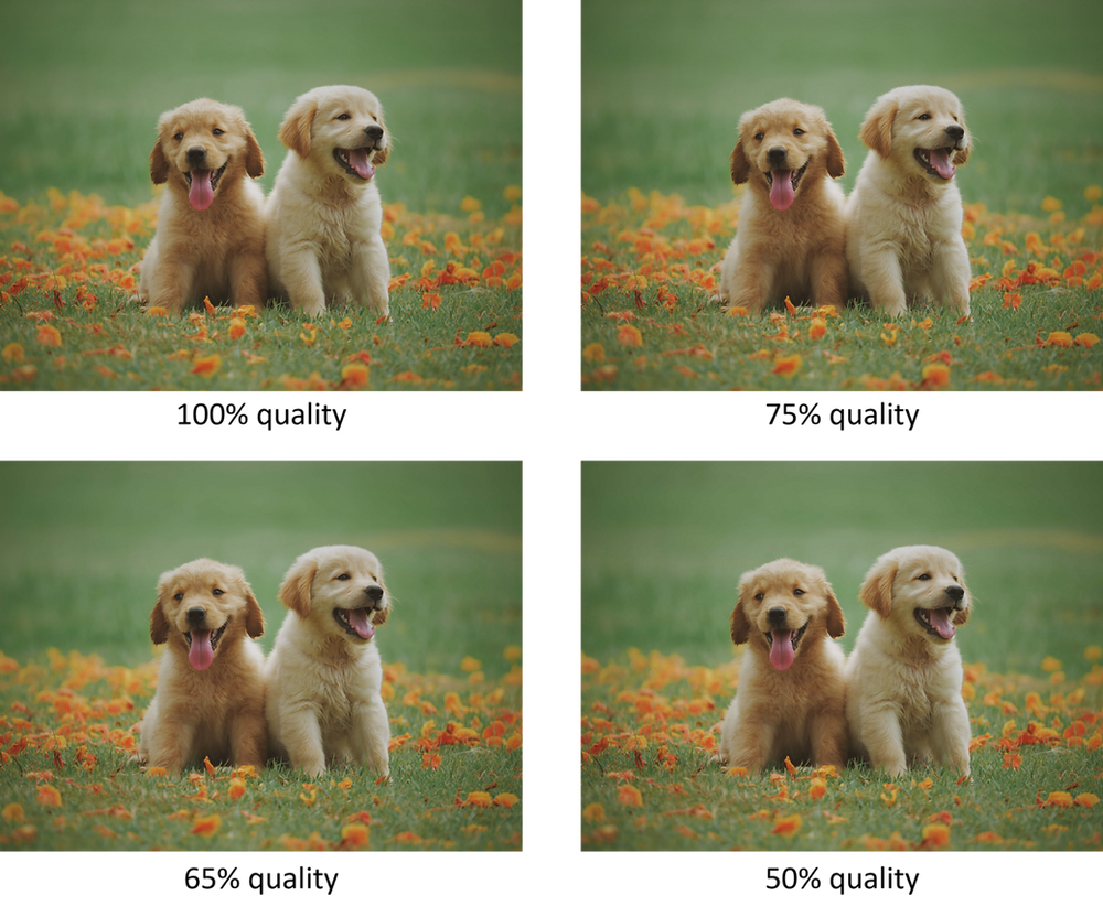 Image Loading : Load your web app’s images — the right way.