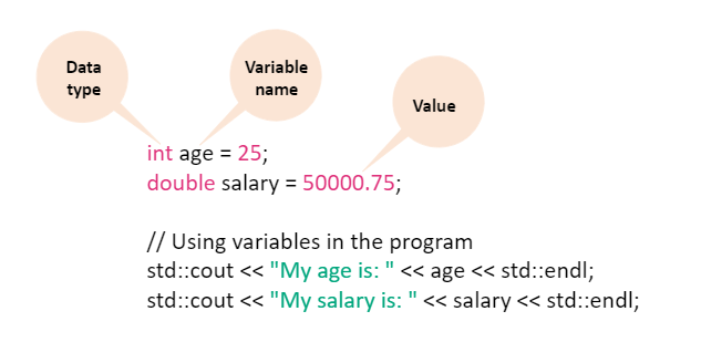 Variable in programming