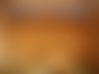 株式会社佐藤製材所