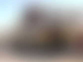 有限会社平江商店