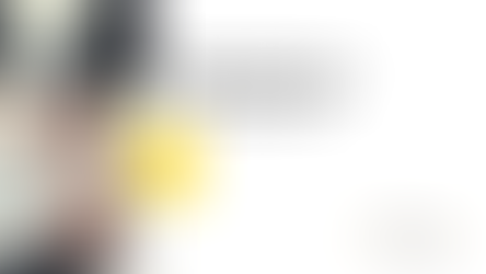 המטרה עסק יציב ורווחי - תוכנית עסקית