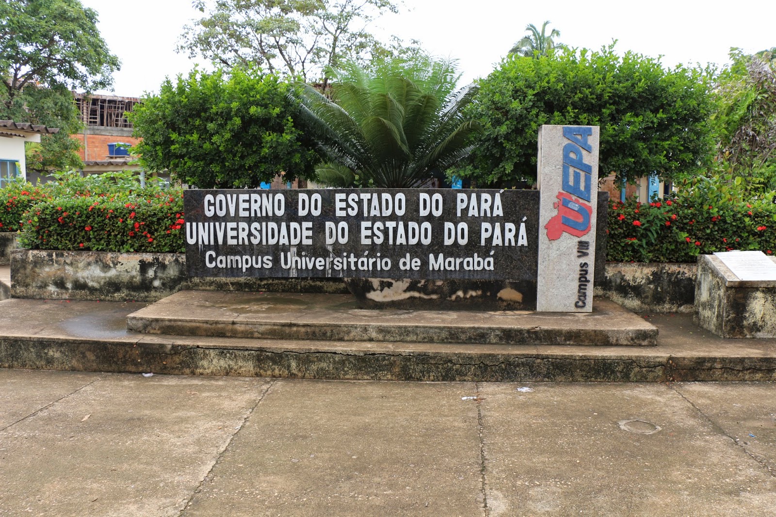 Imagem relacionada