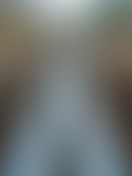 Septic Field Basics in BC: Understanding the Functioning of Septic Fields in BC