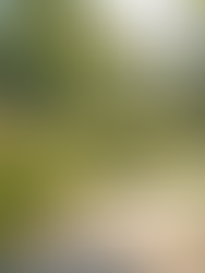 Blueprints for Engineering a Sustainable Future in BC: Planning for Sustainable Future