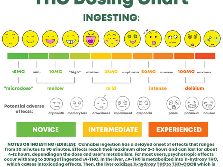 The Duration and Potency of THC Edibles: An Insightful Guide for Nirvana DC Dispensary Customers