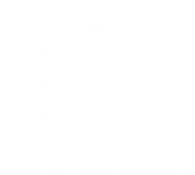 Isao Sato Nursery Japanse Pansy Viola Logo サトウ園芸 ロゴ