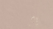Distant Supernova XXVI