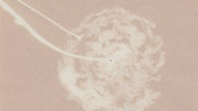 Distant Supernova IX
