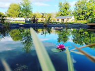 Sustainability focused