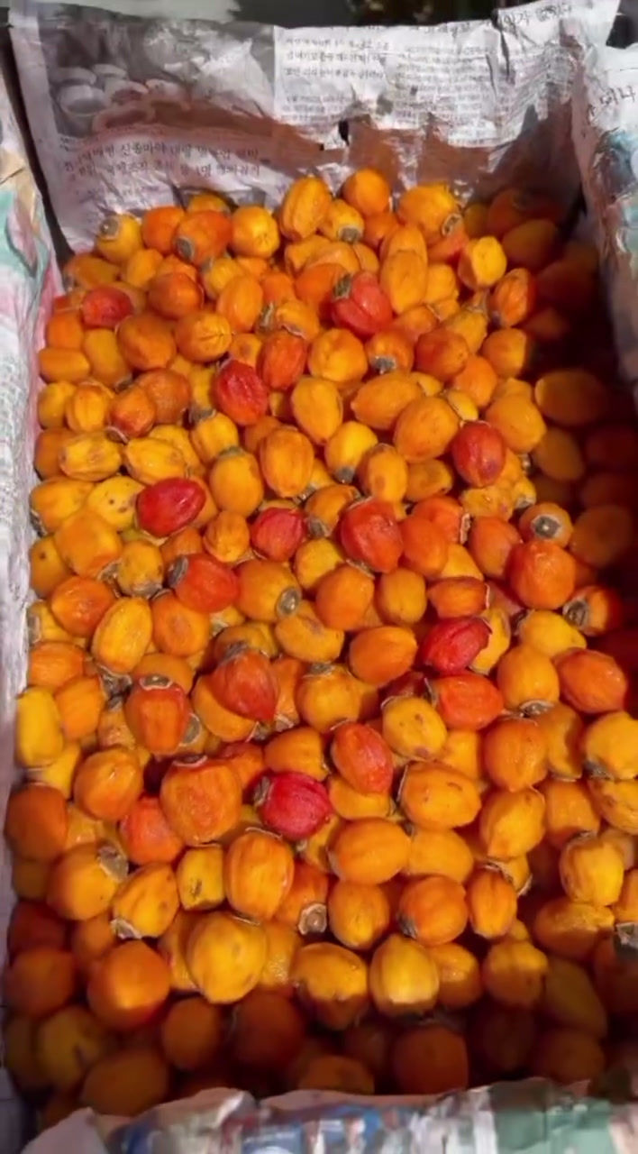 Hình thu nhỏ: Hồng Treo Gió Đà Lạt – Hương Vị Tự Nhiên, Ngọt Ngào Và Bổ Dưỡng