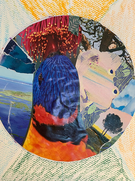 art-thérapie à l'hôpital de Lille, CHR, cliniques, CHU Lille, associations, ITEP, IME