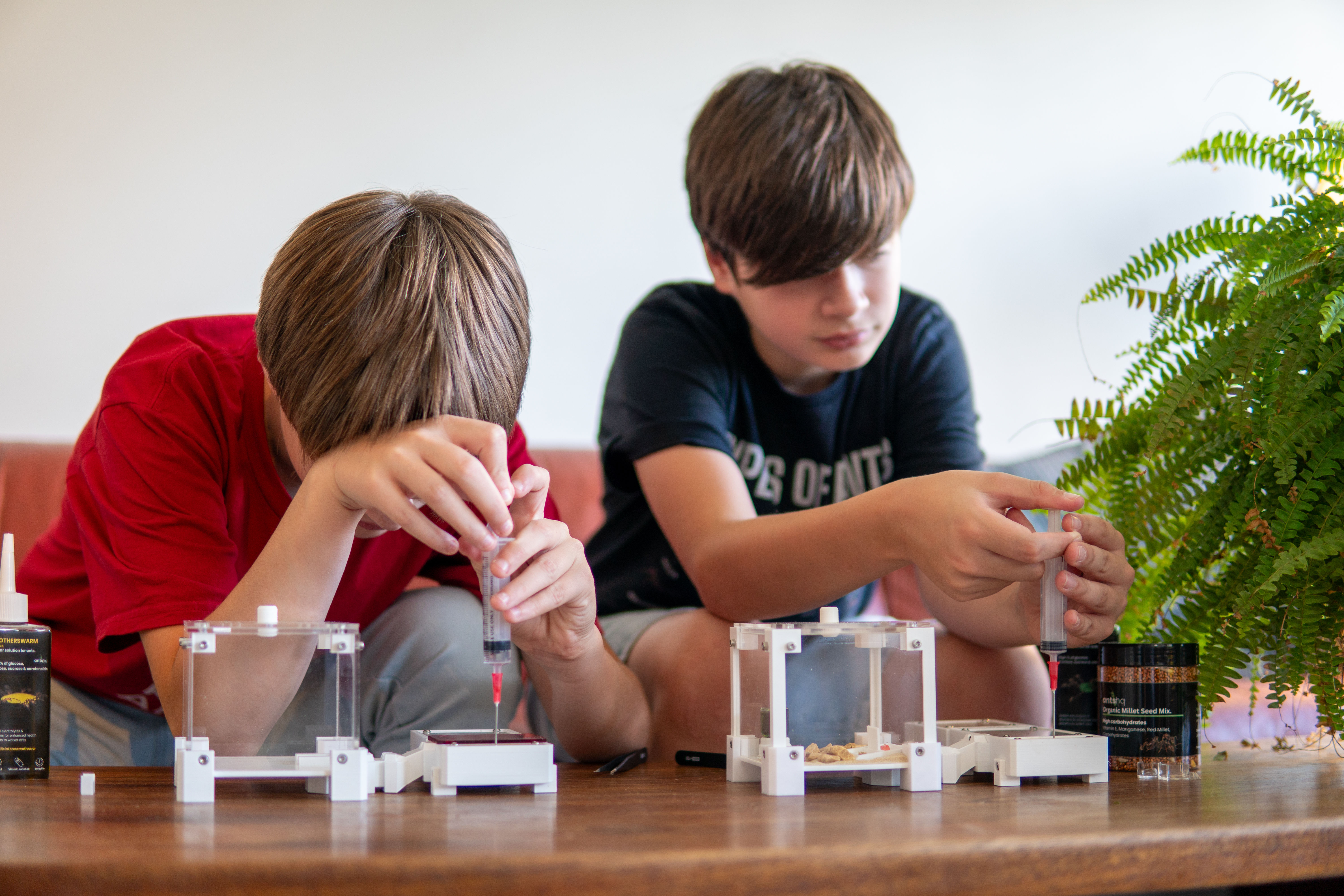 Build Your Own Ant Farm Workshop (Sunday, 24th May)