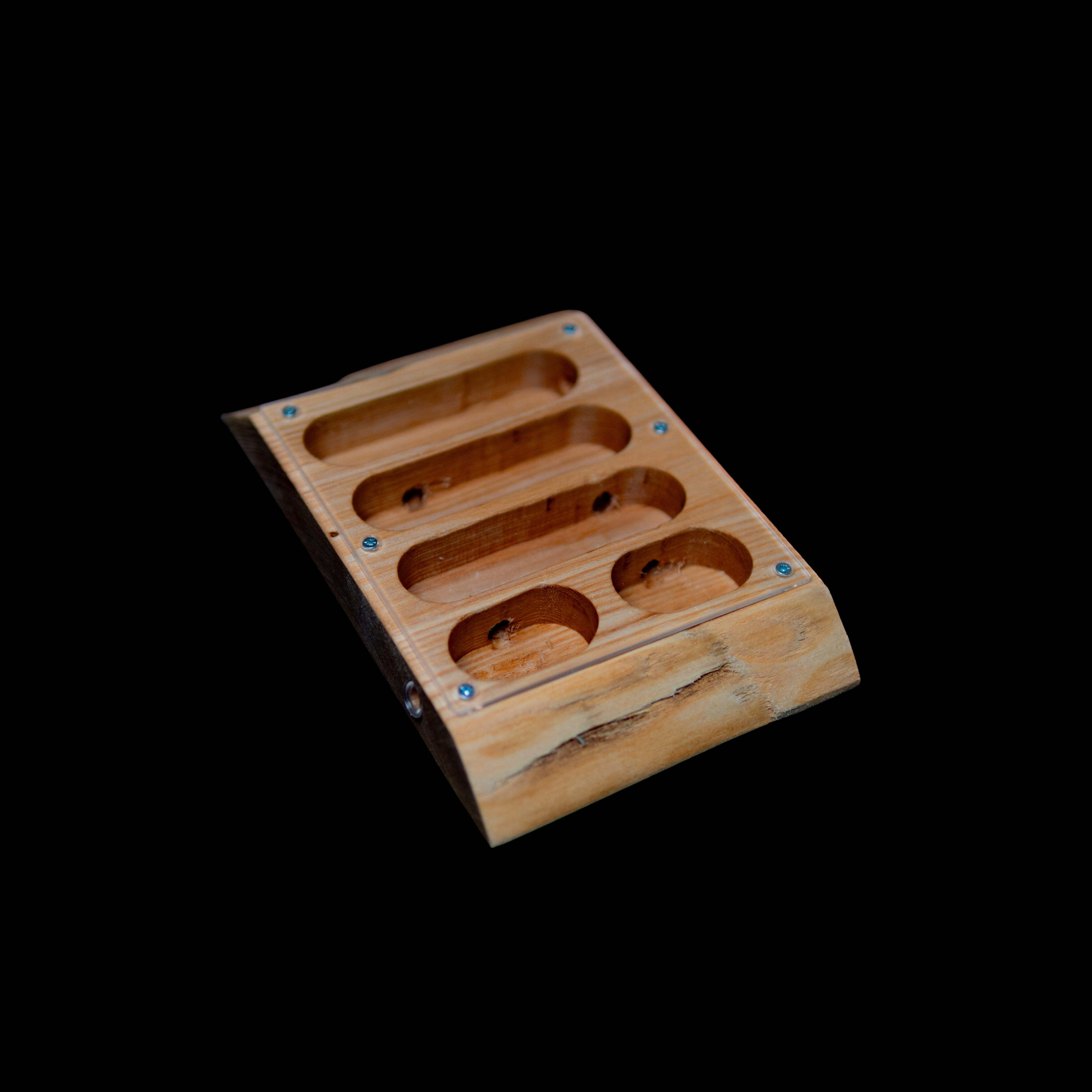 Dryad Wooden Ant Nest