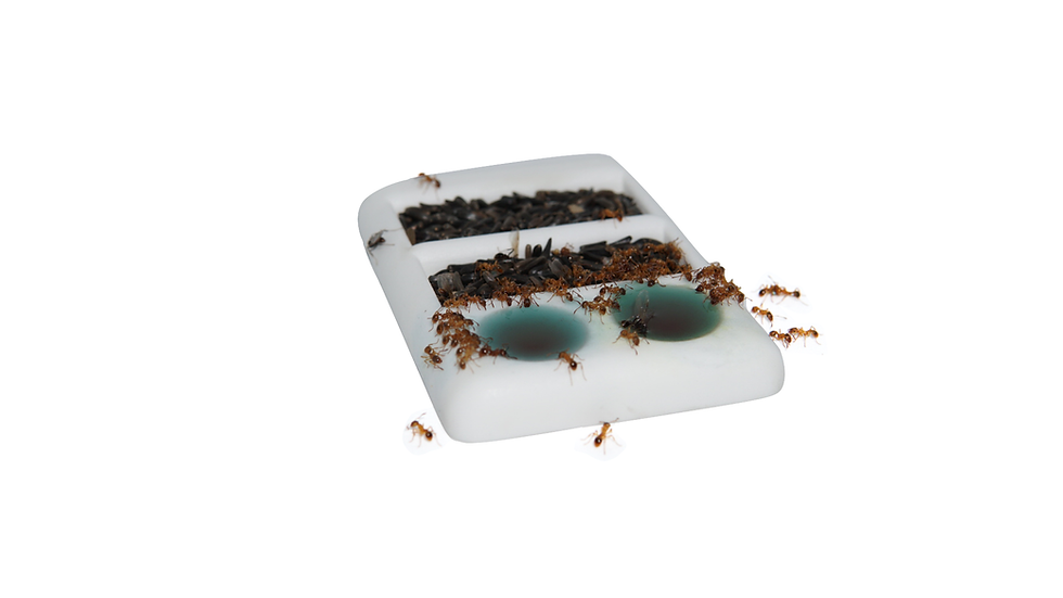 Thumbnail: Gourmet Feeding Dish