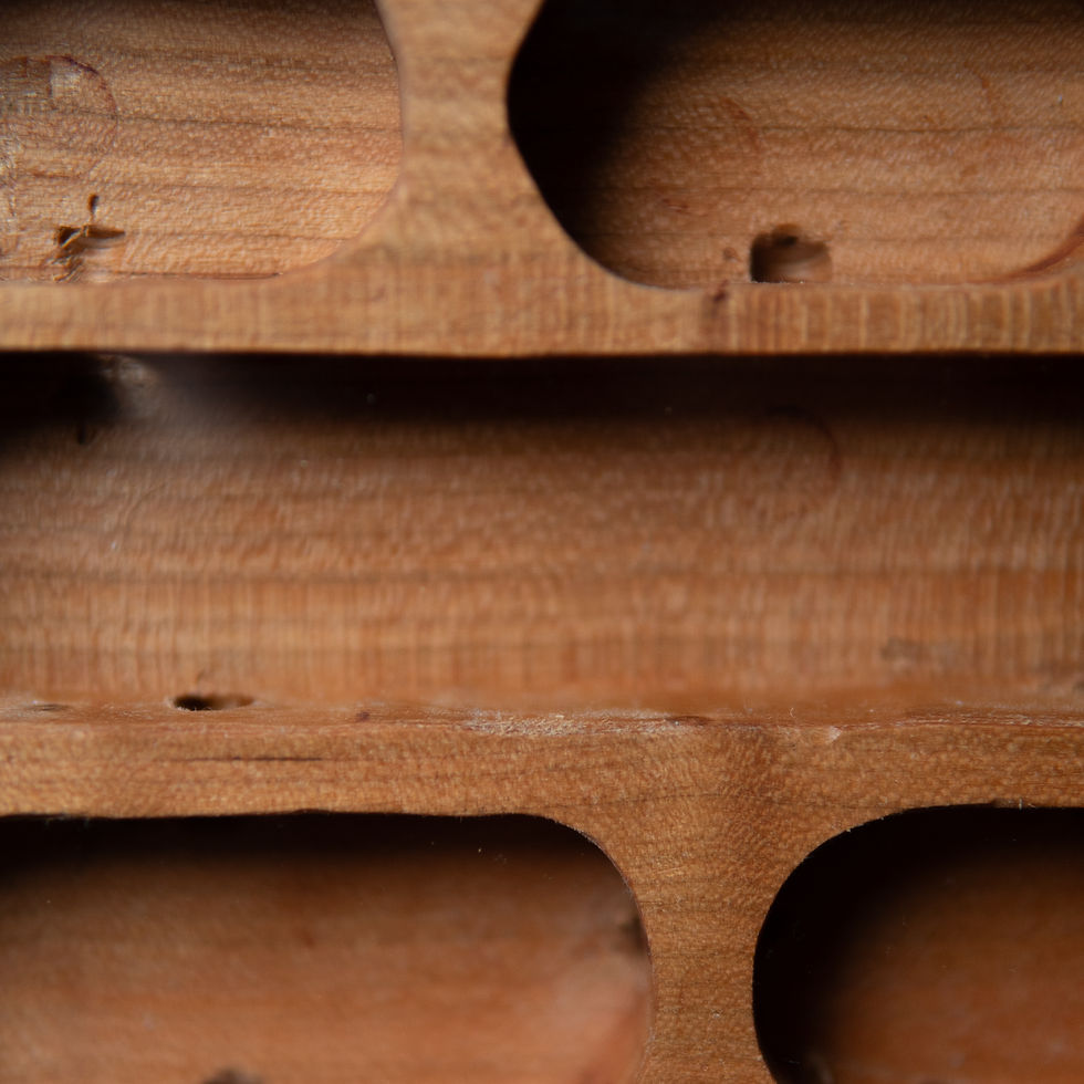 Thumbnail: Dryad Wooden Ant Nest