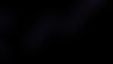 Working With Children Checks and Criminal History Screening: Purpose, Limits, and Governance in Australia