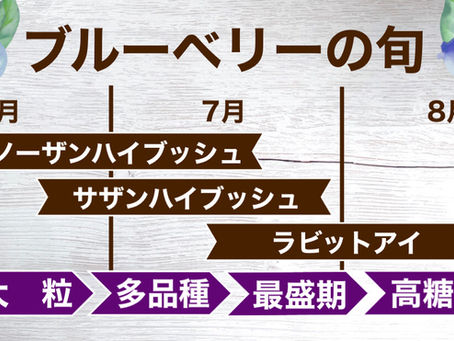 ブルーベリーの品種と旬