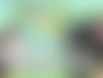 剪定、葉芽の残し方