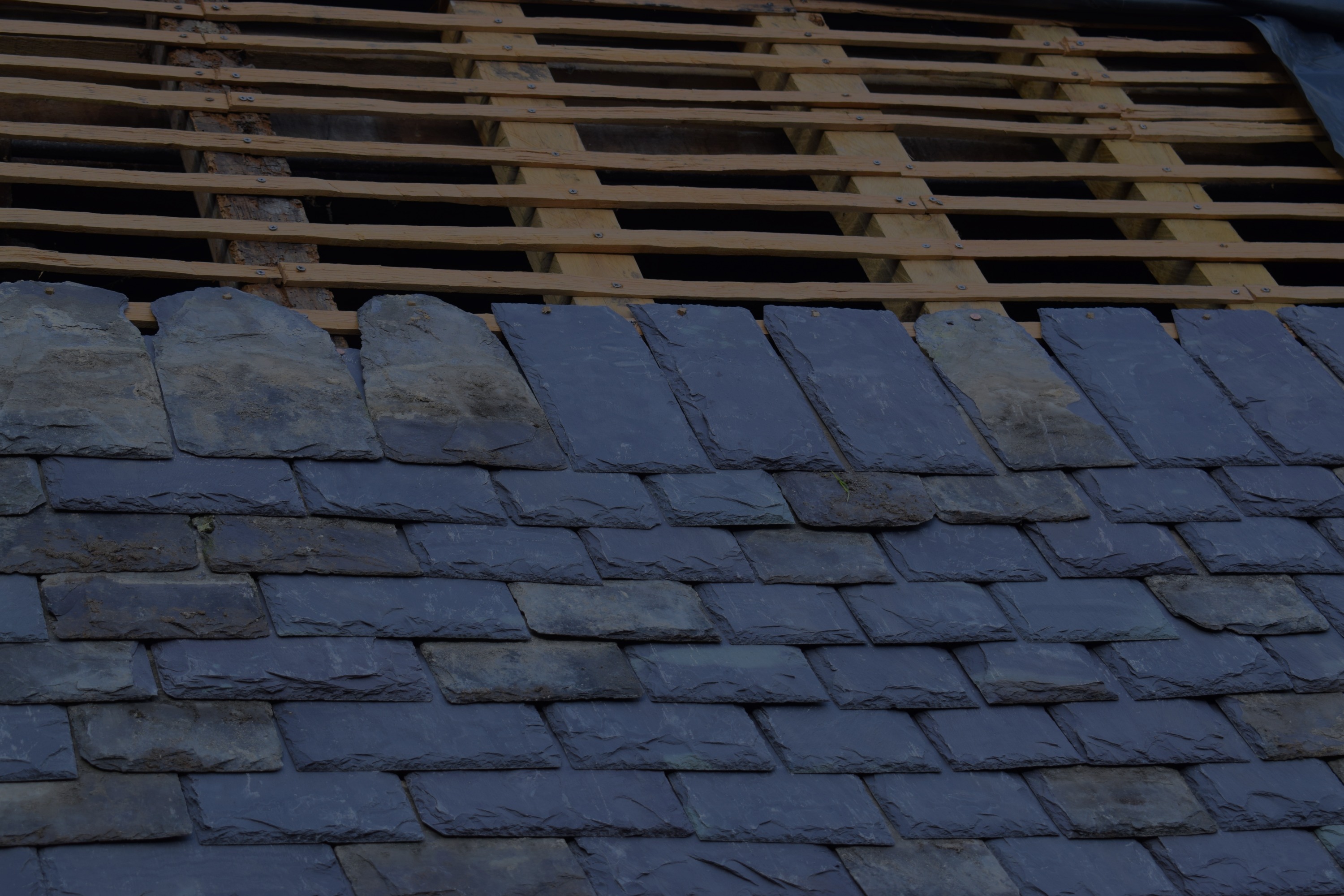 WRAY architects Ltd — DSC_0022_edited.jpg