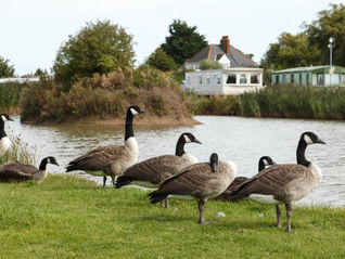 grangeleisure331-770x580.jpg