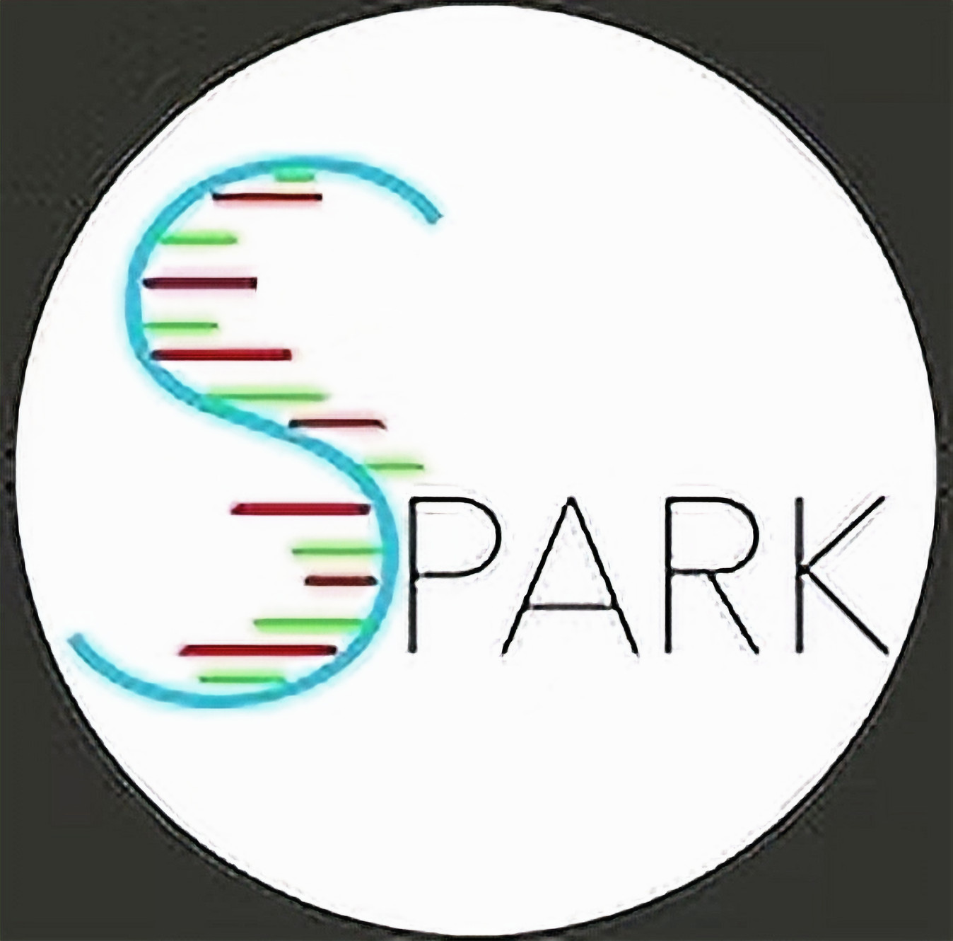 Home | Spark Lab at IIT-GN