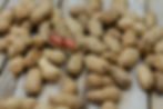 pexels-shattha-pilabut-38930-135755.jpg