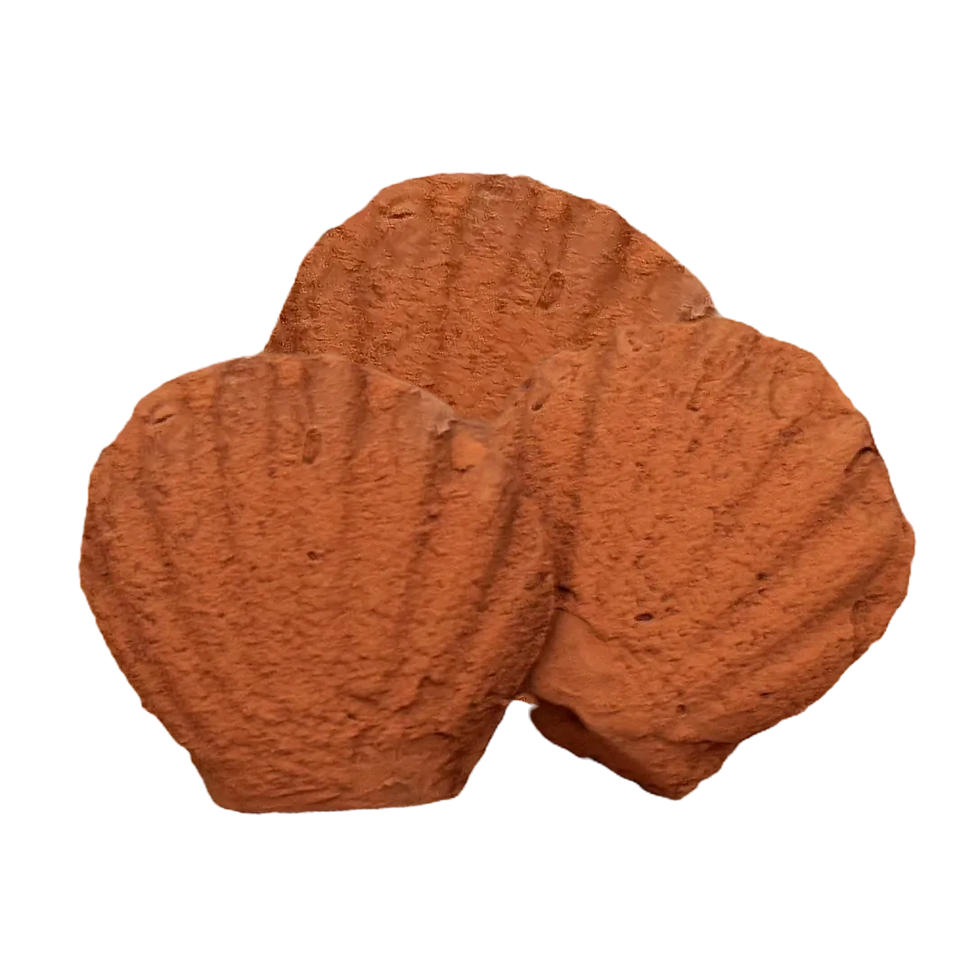 DOUBLE CHOCOLATE image