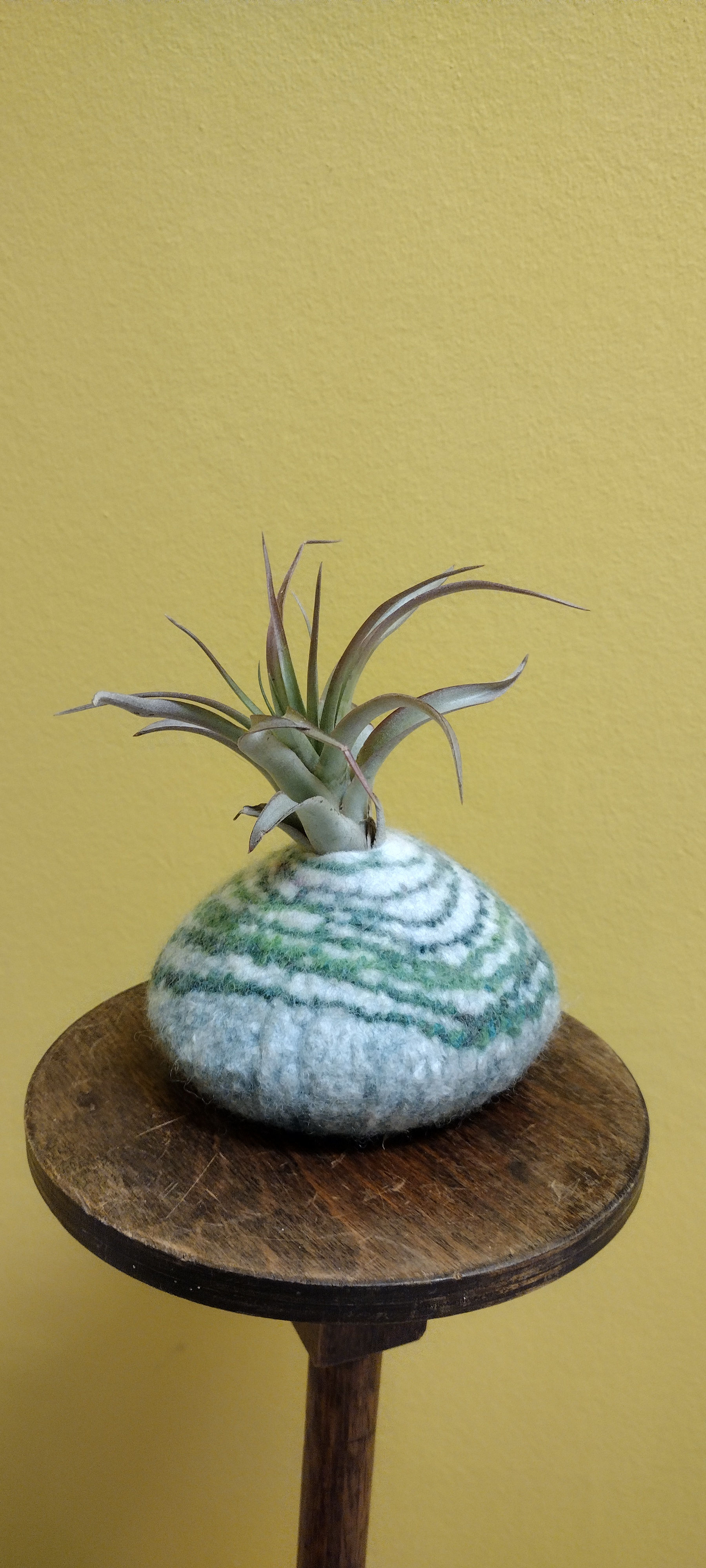 Round cone shape white felt pod with green stripes around it